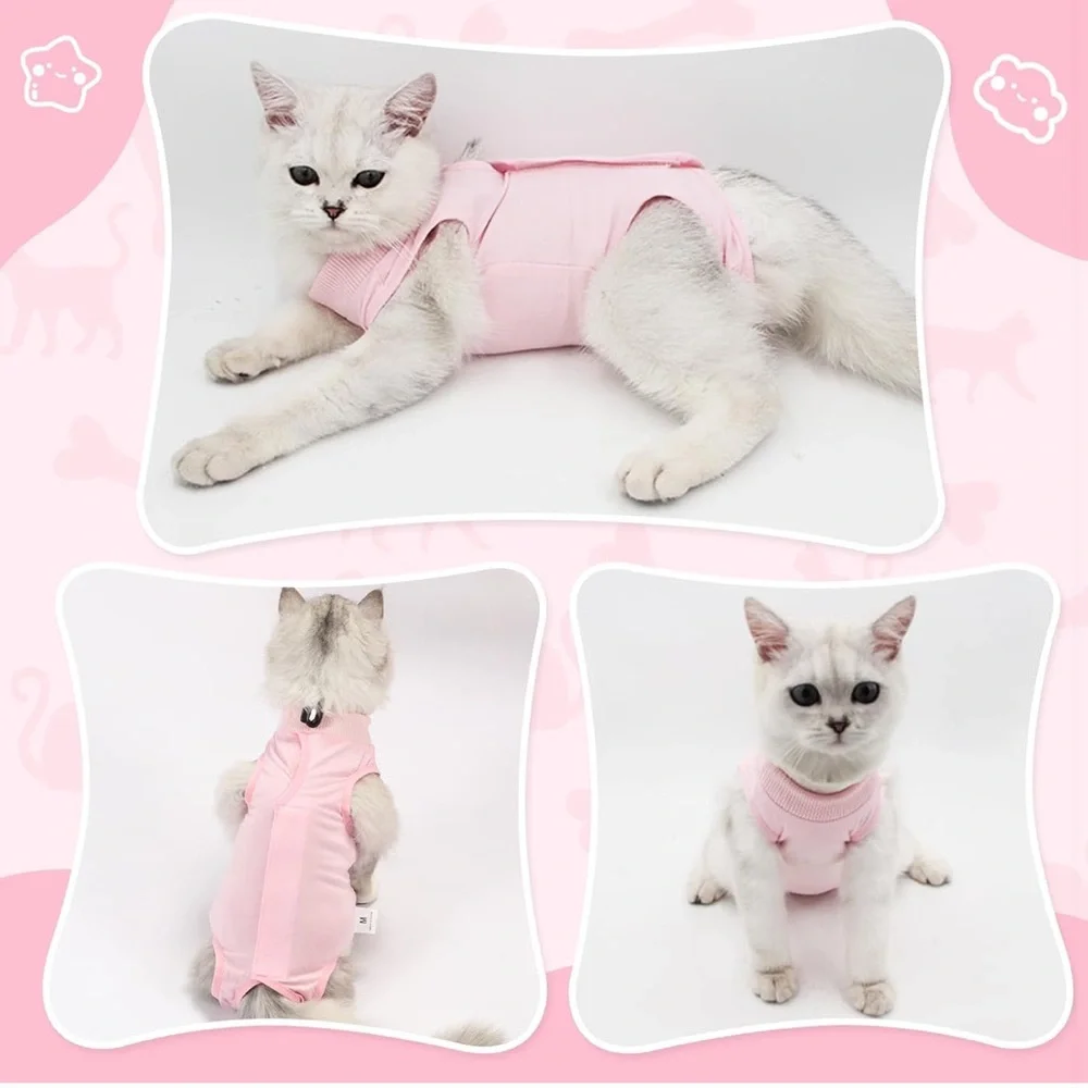 Cat Recovery Suit for Abdominal Wounds